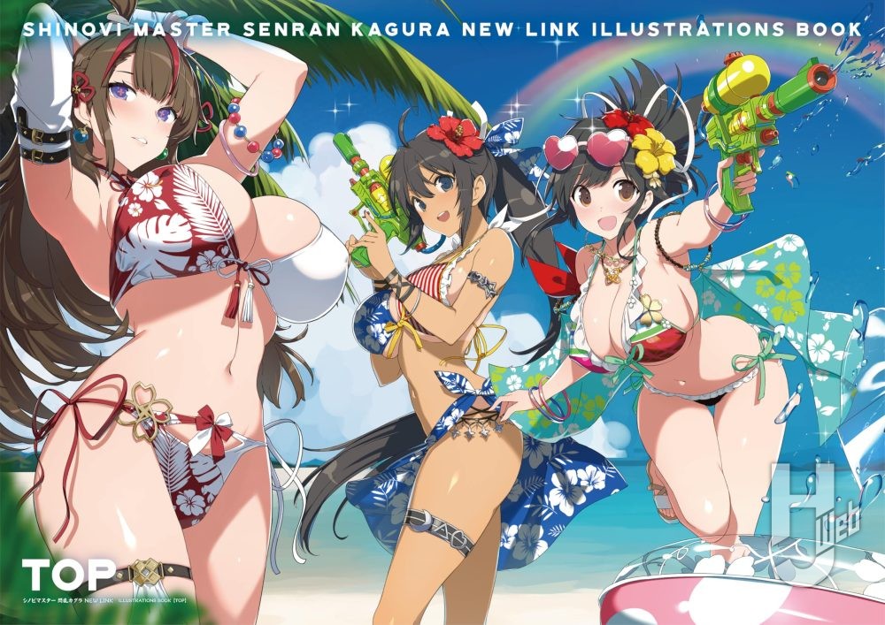 シノビマスター 閃乱カグラ NEW LINK　ILLUSTRATIONS BOOK【TOP】 